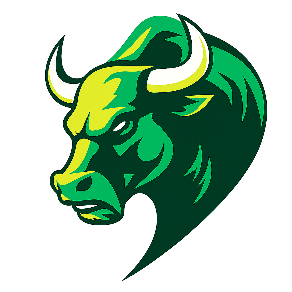 Bulls Logo